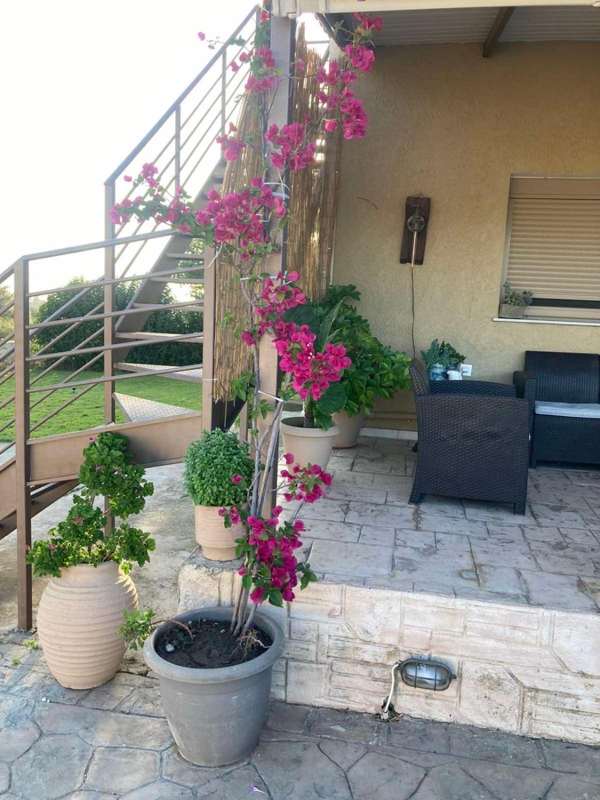 Villeta Nikol Lixouri Exterior foto